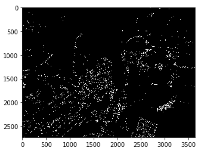 brighter group photo